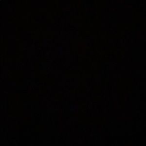 Meet your Posher, Antoinette